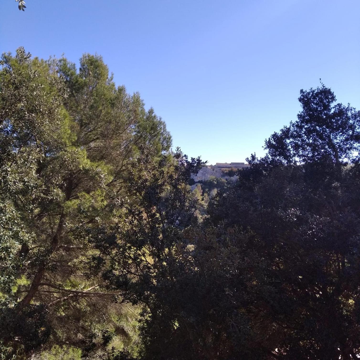 Es Niuet Daire Cala Galdana  Dış mekan fotoğraf